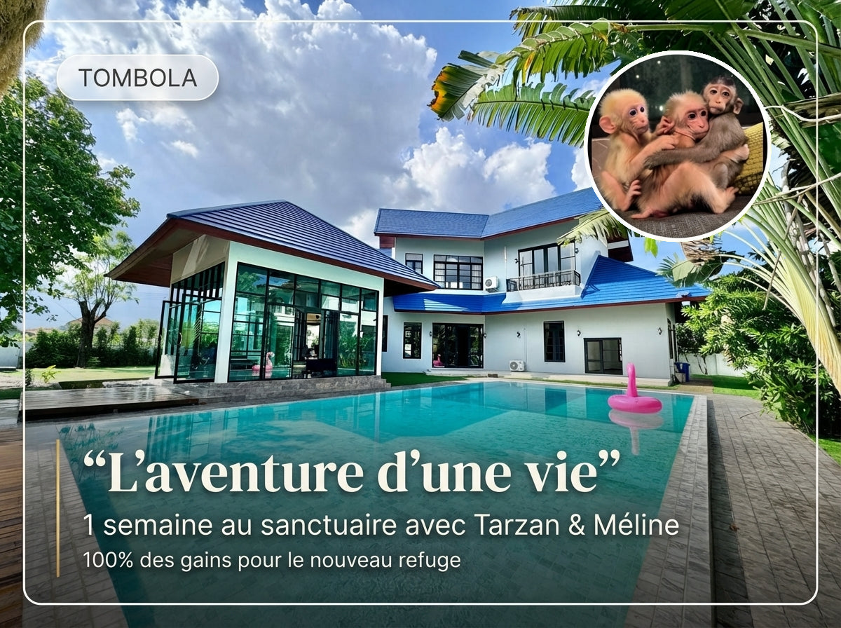 Ticket Tombola du Refuge