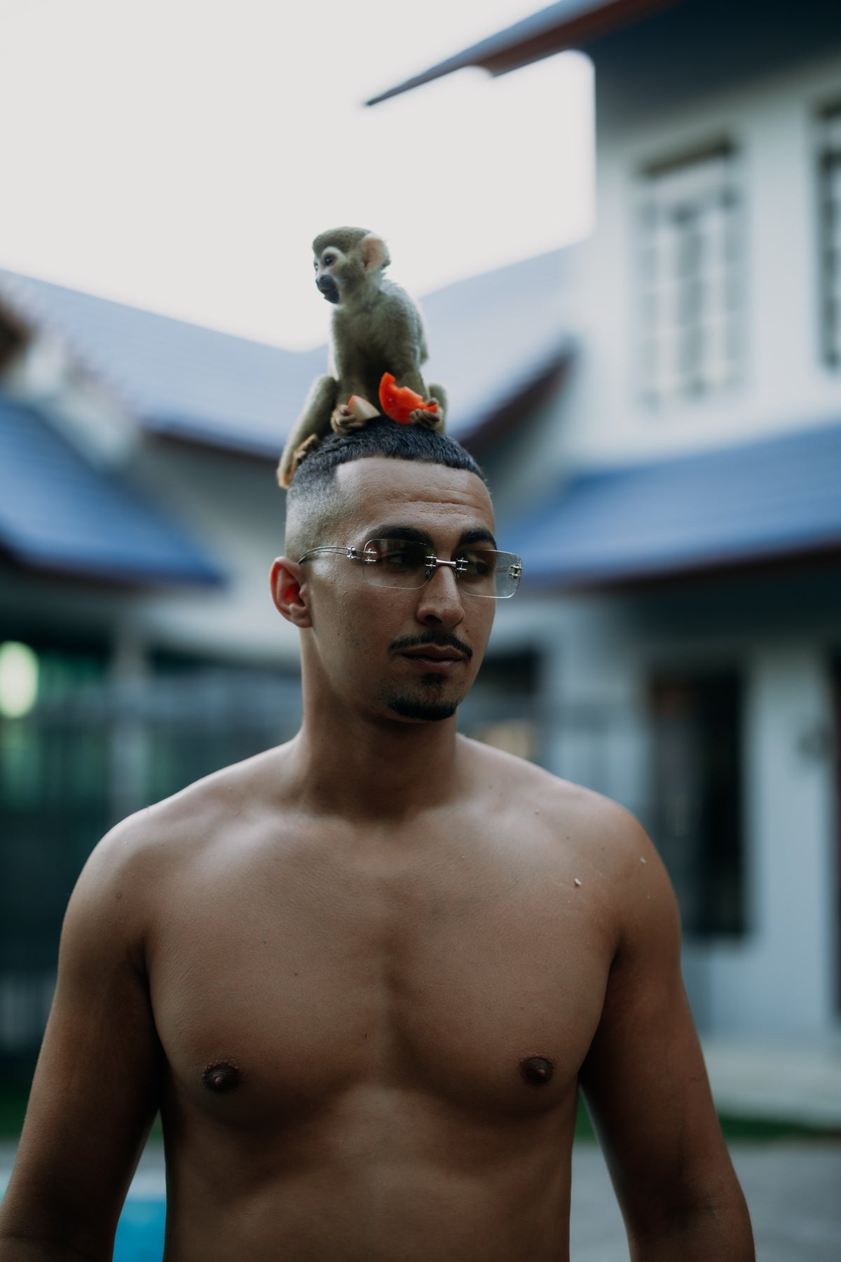 Tarzane et le petit singe posé sur sa tête