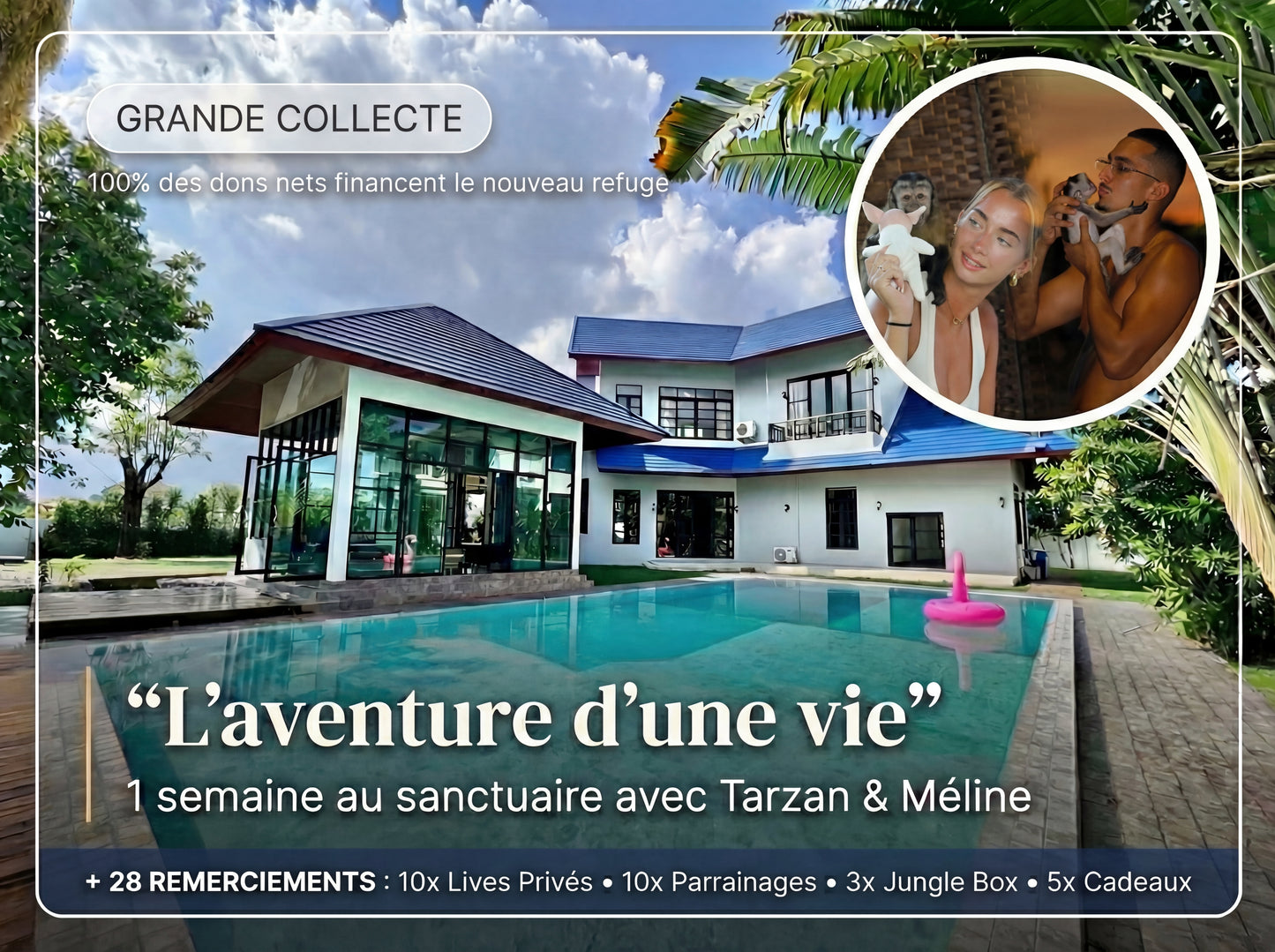 Construisons le Sanctuaire Ensemble 🐒