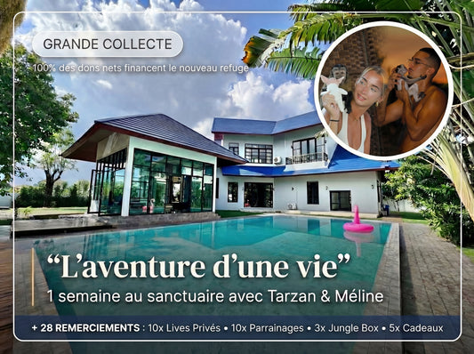 Construisons le Sanctuaire Ensemble 🐒