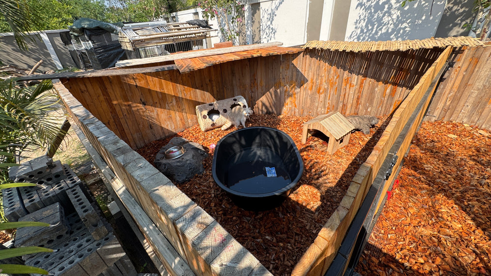 Aménagement du Refuge pendant les travaux