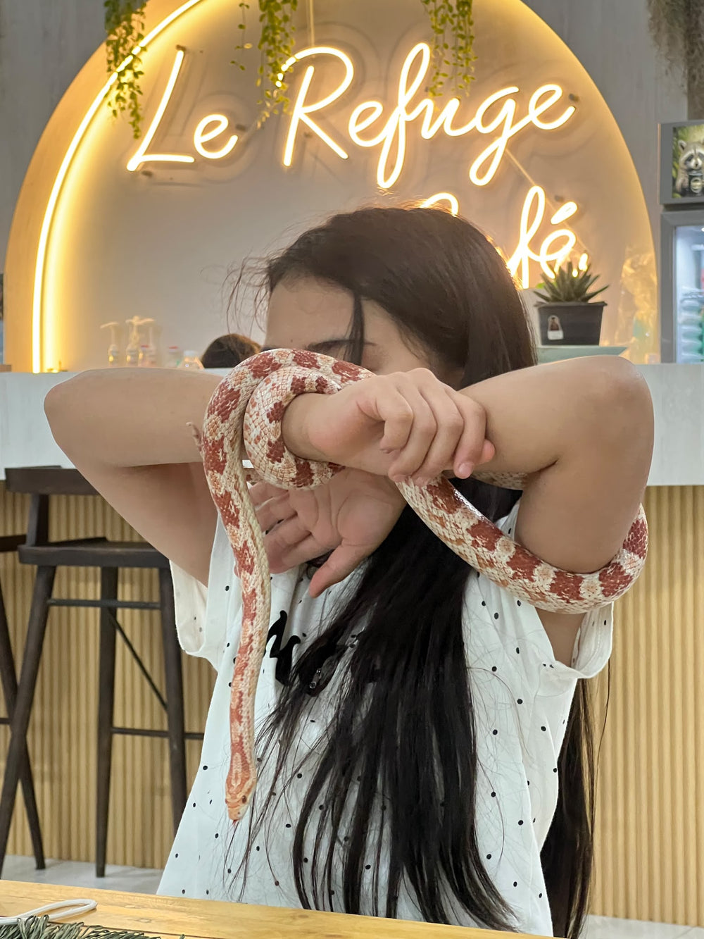 Rencontre avec un serpent au café