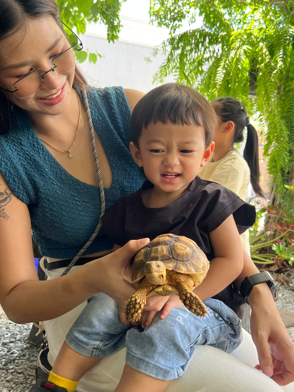 Découverte des tortues en famille