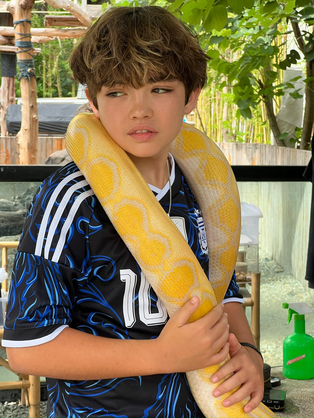 Un visiteur avec le grand serpent jaune